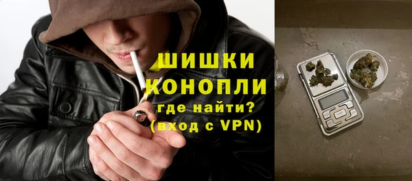 гидра Осинники