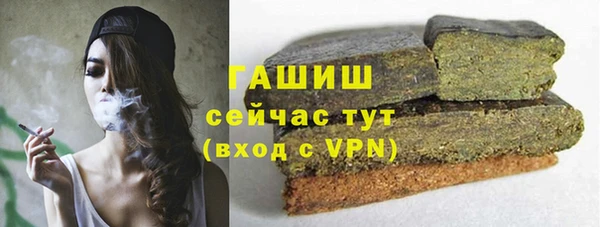 гидра Осинники