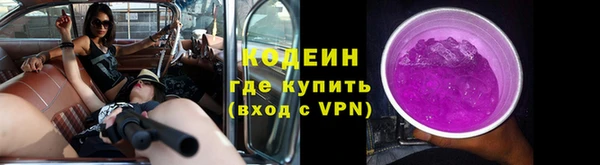 спиды Няндома