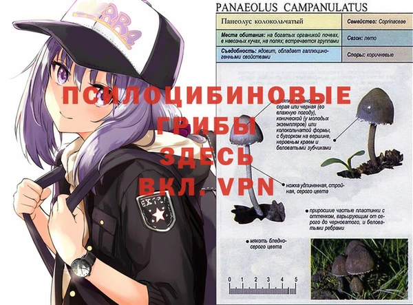 стаф Остров