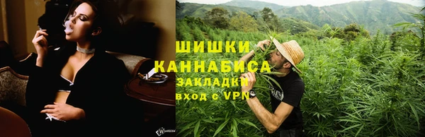 гидра Осинники