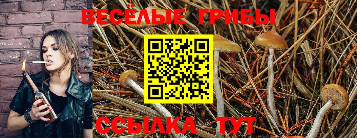 Канабис  Метадон  Балабаново  Кетамин  Меф   ГАШИШ  Меф  