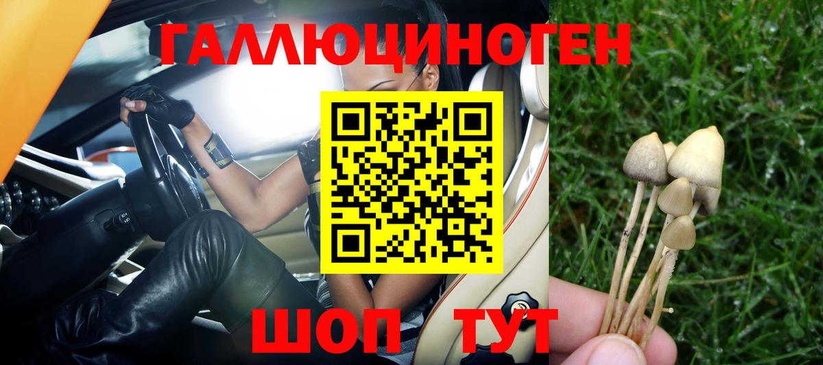 Псилоцибиновые грибы GOLDEN TEACHER Балабаново